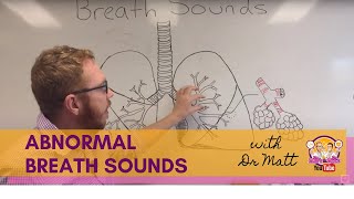 Abnormal Breath Sounds  Respiratory System [upl. by Buffum]