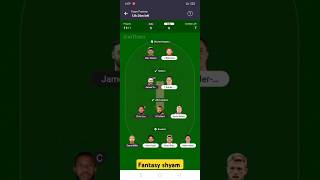 SOU vs WEL Today Match Dream 11 Team Predictionsouvswel todaymatchprediction dream11team [upl. by Yarw]