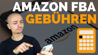 Amazon FBA Kosten berechnen  Einfuhrabgaben Verkaufs und Versandgebühren und Steuern erklärt [upl. by Ahsenet]