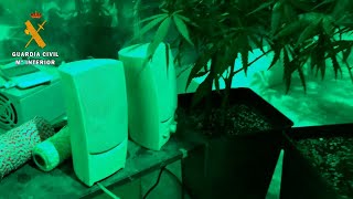 Desmantelado en La Rioja el primer cultivo indoor con iluminación LED [upl. by Echo65]