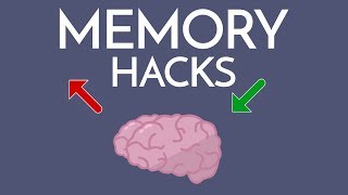 Most Effective Way to IMPROVE MEMORY amp Memorize ANYTHING [upl. by Fiske]