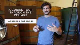 Guided Tour of the Cellars of Agricola Foradori with Winemaker Theo Zierock [upl. by Bissell990]