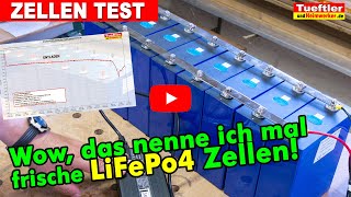 Richtig gute LiFePo4 Zellen neuerer Generation im TestTueftler DIY [upl. by Enelec884]