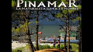 PINAMAR LA NATURALEZA LLEVA TU NOMBRE  DOCUMENTAL [upl. by Ecirbaf120]