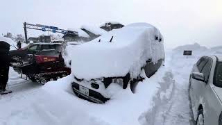 Niseko Ski Resort Japan  January 2023 [upl. by Cusack]