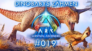 Ark Survival Ascended Baby Dinos Tame ASA deutsch gameplay [upl. by Nered961]