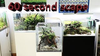 How to set up a planted nano tank in 60 seconds [upl. by Henry]