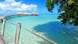 Bora Bora Beach LUXURY Getaway Secrets Revealed [upl. by Iren88]