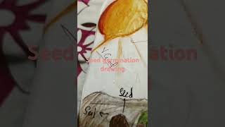 Seed germination drawing phonk music memes art drawing [upl. by Raleigh]