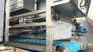 Automatic gummy production line capacity about 100kgh cost effective [upl. by Suiramad]