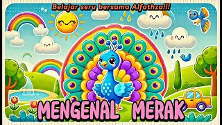 Mengenal Merak [upl. by Goode]