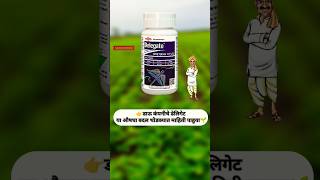 डेलिगेट Dow Delegate Insecticide  Dow AgroSciences  Spinetoram 117 SC  delegate agriculture [upl. by Gordie449]