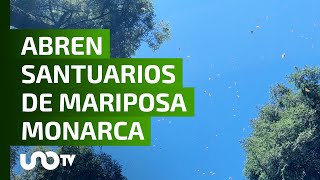 Monarcas llegan puntuales a su cita en México abren santuarios en Michoacán [upl. by Fong]