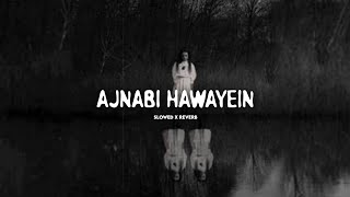 Ajnabi Hawayein  Slowed X Reverb  TSeries Lofi song  Horror sad Hindi song [upl. by Ahseuqram]