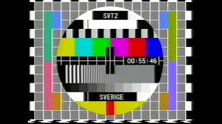 SVT2 Avslutning 20070201 [upl. by Peyton]