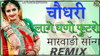 aado dodo chale choudhary dj remix naach mhari byan binjari n akli krelo chamak chamak dj remix [upl. by Harim]