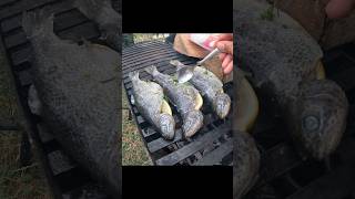 grill trout fishing fishpreparation foodlovers doglover doglife foodpreparation fisheater [upl. by Feer]