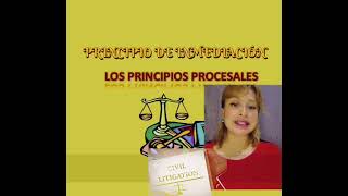 LOS PRINCIPIOS PROCESALES EN EL PROCESO CIVIL Y MERCANTIL [upl. by Walli901]