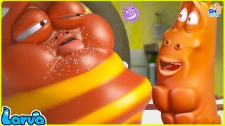 LARVA Season 2 Episode 378  499  Best Cartoons 2022  Comics  Hilarious Cartoon Compilation [upl. by Defant]