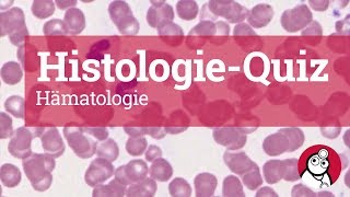 DocCheck HistologieQuiz Hämatologie [upl. by Ancier]