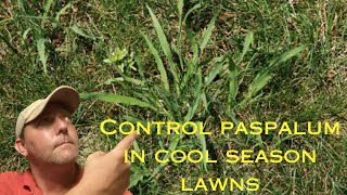 Identify and control paspalum [upl. by Alled]