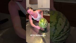 40 lb Watermelon I grew gardening watermelon shorts viralvideo grow 🍉 reveal [upl. by Draneb]