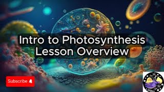 Intro to Photosynthesis  Lesson Overview Key Concepts Discussion Study Tool  Audio [upl. by Anivram621]