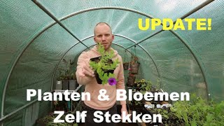 Planten en Bloemen Zelf Stekken  Update [upl. by Novia223]