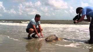 Murphys release with Jeff Corwin [upl. by Okomom247]