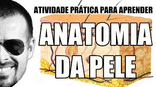 Anatomia da Pele Atividade prática para aprender Dermatologia  Anatomia Humana  VideoAula 037 [upl. by Asiat]