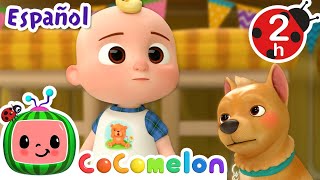 ¡CoComelon  BUSCANDO A BINGO  Canciones Infantiles en Español Latino [upl. by Airotcivairam]