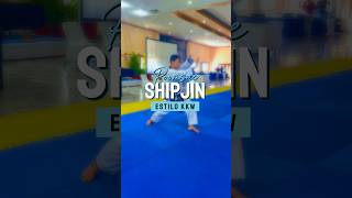 poomsae Shipjin estilo Kukkiwon [upl. by Notneb35]