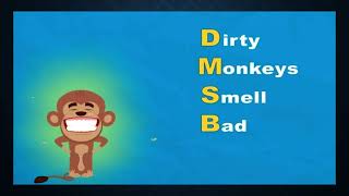 Dirty Monkeys Smell Bad ll long division ll grade 3 [upl. by Vickie]