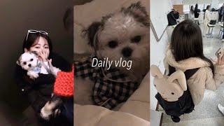 vlog 겨울이 왔나봐요  마라탕  먼지랑 고깃집   코튼 캔디볼 [upl. by Dinin]