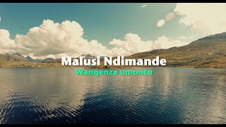 Malusi Ndimande  Wangenza umuntu Official Lyric Video [upl. by Ardel998]