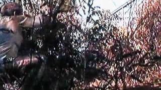 Cool Hand Luke  Shaking The Bush Boss  The Best Movie Scene Ever [upl. by Roberto661]