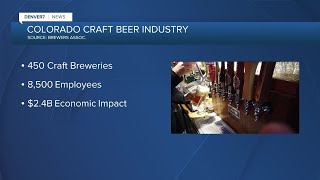 Craft beer industry midyear report from Brewers Assoc [upl. by Alaekim]