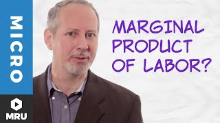 The Marginal Product of Labor [upl. by Yle]