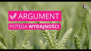 🌱 Pszenica ozima ARGUMENT [upl. by Bonnice661]