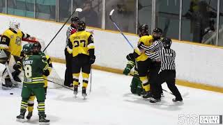 GOJHL  Elmira Sugar Kings vs KitchenerWaterloo Siskins [upl. by Anayek]