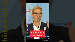 Weidel über die politisch gemachte Krise [upl. by Ikin]