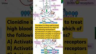 Clonidine is a drug used to treat high blood pressure by which of the following mechanisms [upl. by Linea]