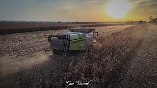 MAÏS GRAIN AU COUCHER DU SOLEIL 2023   CLAAS LEXION 660  CUMA Les Juniors 17 [upl. by Burra]