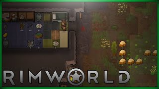 Rimworld Solo Start Stream [upl. by Ahswat483]