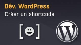 Wordpress  ajouter et créer un shortcode [upl. by Arehahs139]