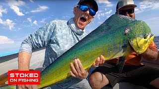 Incredible Halibut and Dorado Bite at Cedros Island [upl. by Barabbas]