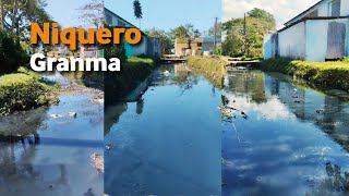 Así permanecen las ZANJAS de aguas RESIDUALES en el municipio Niquero Granma [upl. by Minoru]