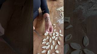 one of my favorite pasta shapes orecchiette pastamaking pasta tutorial food recipe pastatime [upl. by Yalc]