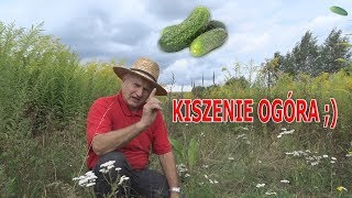 Kiszenie ogórków domowym sposobem [upl. by Kcirderfla]