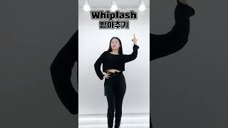 댓글에 있는 동작들로 만든 Whiplash 안무 [upl. by Smart]